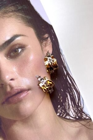 Silverngold hoops