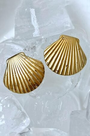 Shell studs earrings